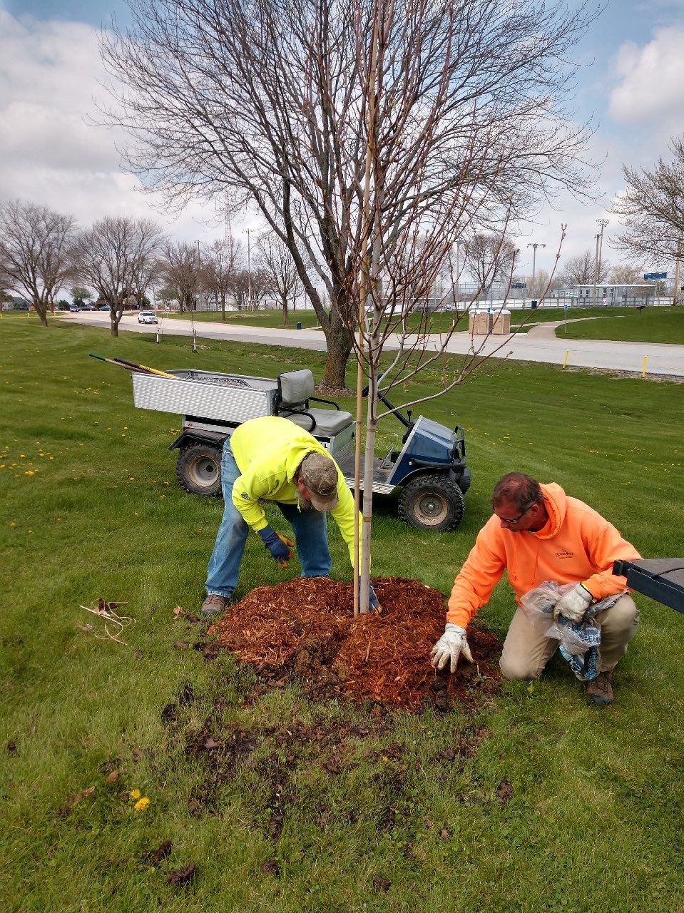 Crow Creek Park Tree Planting